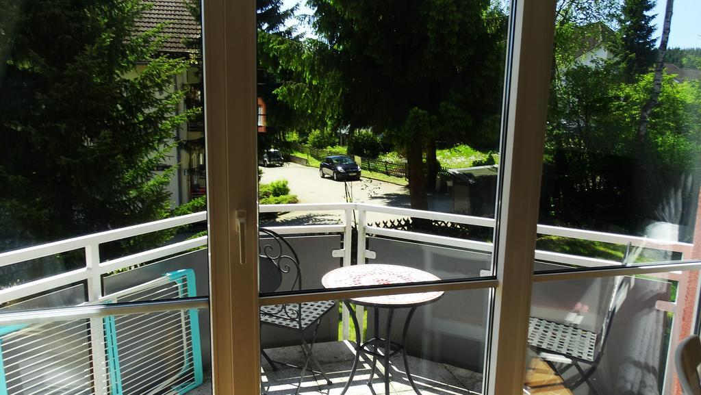 Harz Oase Apartment