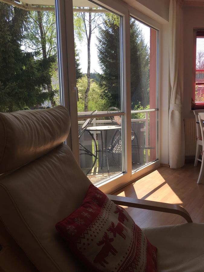 Harz Oase Apartment *